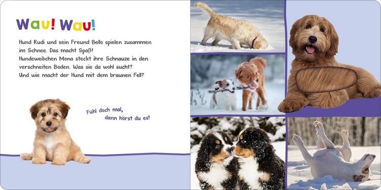 Produktbild: H&ouml;r mal rein, wer kann das sein? &ndash; Kleine Tiere im Schnee