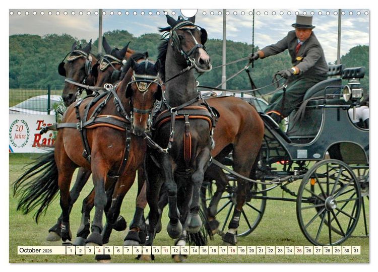 Produktbild: Four-in-hand Driving Challenge (Wall Calendar 2026 DIN A3 landscape), CALVENDO 12 Month Wall Calendar