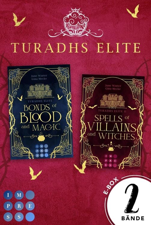 Produktbild: Turadhs Elite: Die magische Dark Academia Romantasy in einer E-Box! (Turadhs Elite)