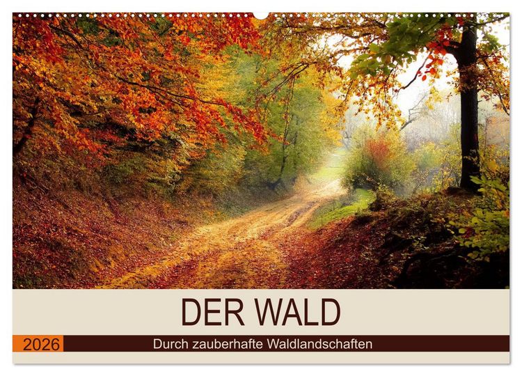 Produktbild: Der Wald. Durch zauberhafte Waldlandschaften (Wandkalender 2026 DIN A2 quer), CALVENDO Monatskalender