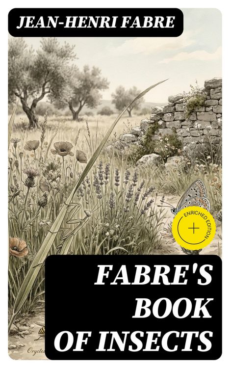 Produktbild: Fabre's Book of Insects
