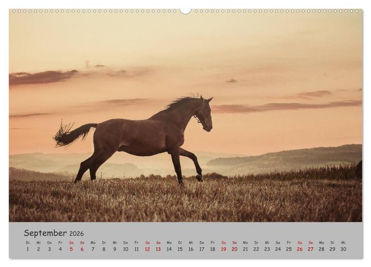 Produktbild: Spiegel deiner Seele (hochwertiger Premium Wandkalender 2026 DIN A2 quer), Kunstdruck in Hochglanz