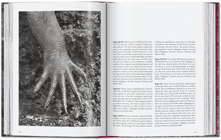Produktbild: Sebasti&atilde;o Salgado