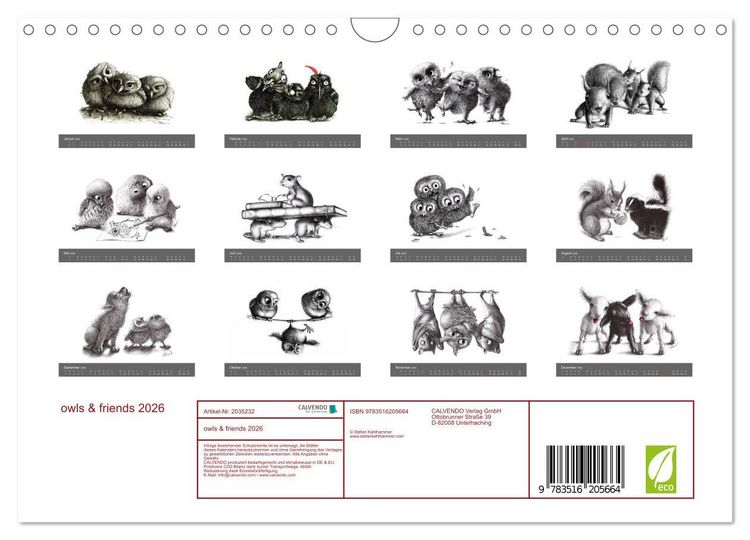 Produktbild: owls & friends 2026 (Wandkalender 2026 DIN A4 quer), CALVENDO Monatskalender