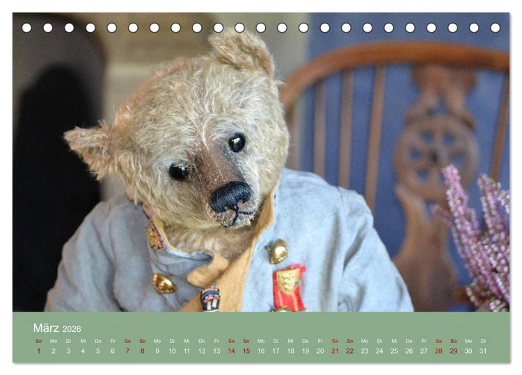 Produktbild: Robin der B&auml;r (Tischkalender 2026 DIN A5 quer), CALVENDO Monatskalender
