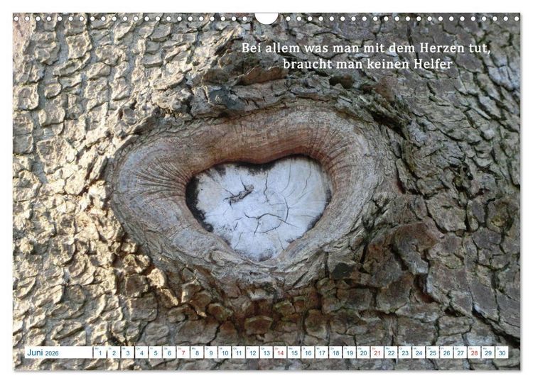 Produktbild: Kraftquelle Natur (Wandkalender 2026 DIN A3 quer), CALVENDO Monatskalender
