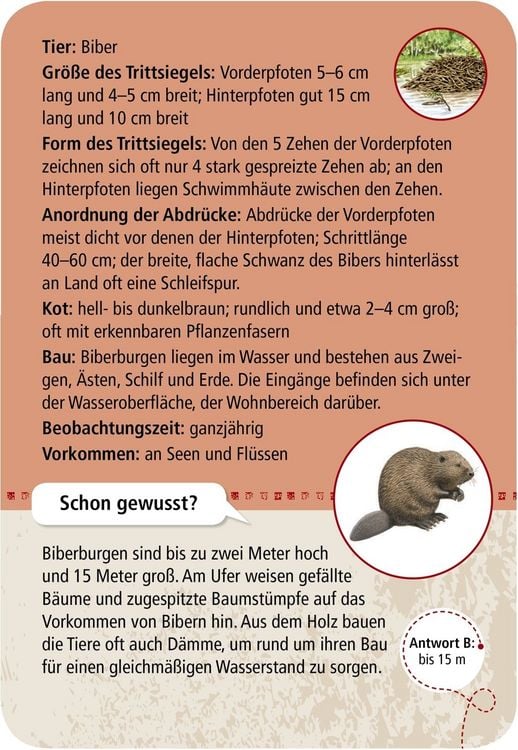 Produktbild: Expedition Natur - 50 Tierspuren