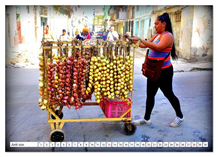 Produktbild: HAVANNA - Beruf Zwiebel-H&auml;ndler (Wandkalender 2026 DIN A4 quer), CALVENDO Monatskalender