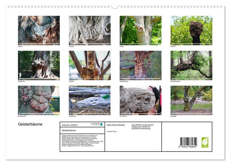 Produktbild: Geisterb&auml;ume (hochwertiger Premium Wandkalender 2026 DIN A2 quer), Kunstdruck in Hochglanz