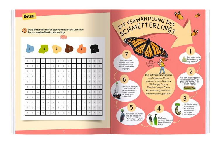 Produktbild: R&auml;tseln, Stickern, Bestimmen - Insekten & Co.
