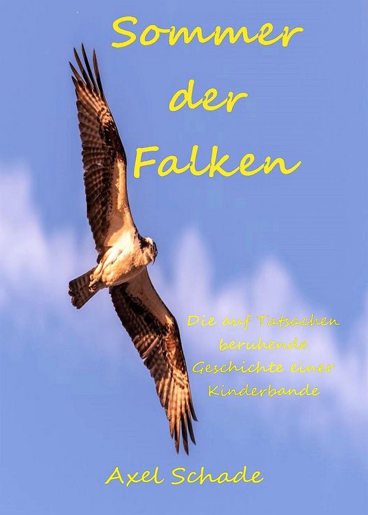 Produktbild: Sommer der Falken