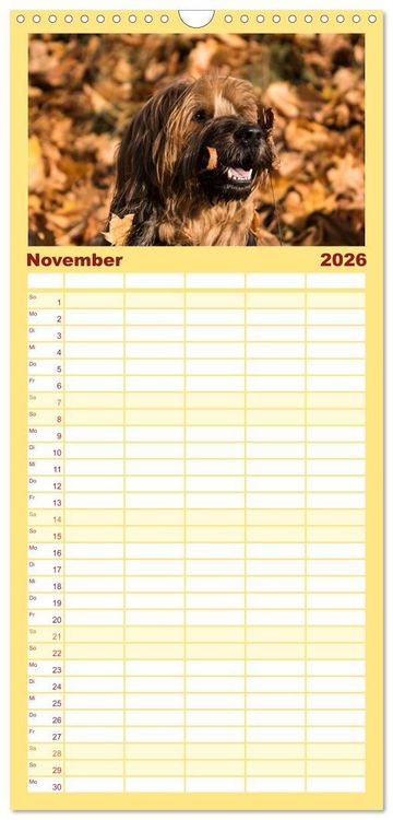 Produktbild: Familienplaner 2026 - Der Briard - Ein echter Charmeur mit 5 Spalten (Wandkalender, 21 x 45 cm) CALVENDO
