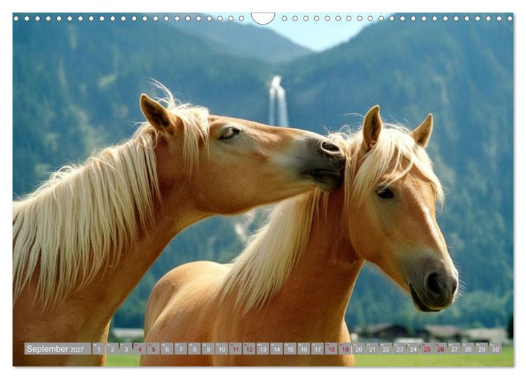 Produktbild: Alpent&auml;ler und Haflinger Pferde (Wandkalender 2027 DIN A3 quer), CALVENDO Monatskalender