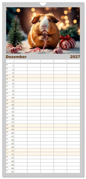 Produktbild: Familienplaner 2027 - Meerschweinchen mal anders! mit 5 Spalten (Wandkalender, 21 x 45 cm) CALVENDO