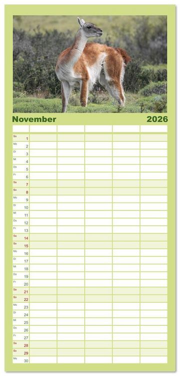 Produktbild: Familienplaner 2026 - Wildlife S&uuml;damerika mit 5 Spalten (Wandkalender, 21 x 45 cm) CALVENDO