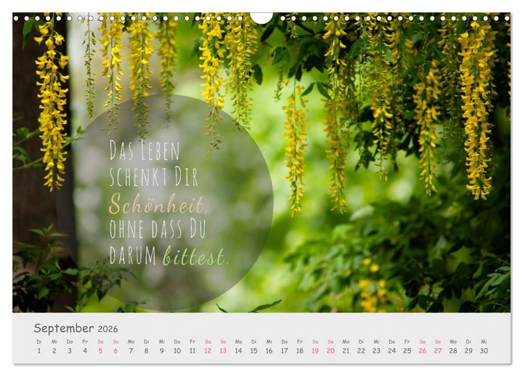 Produktbild: Sanfte Bl&uuml;ten &ndash; leise Worte (Wandkalender 2026 DIN A3 quer), CALVENDO Monatskalender