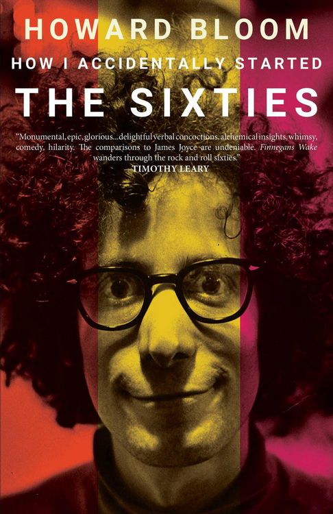 Produktbild: How I Accidentally Started The Sixties