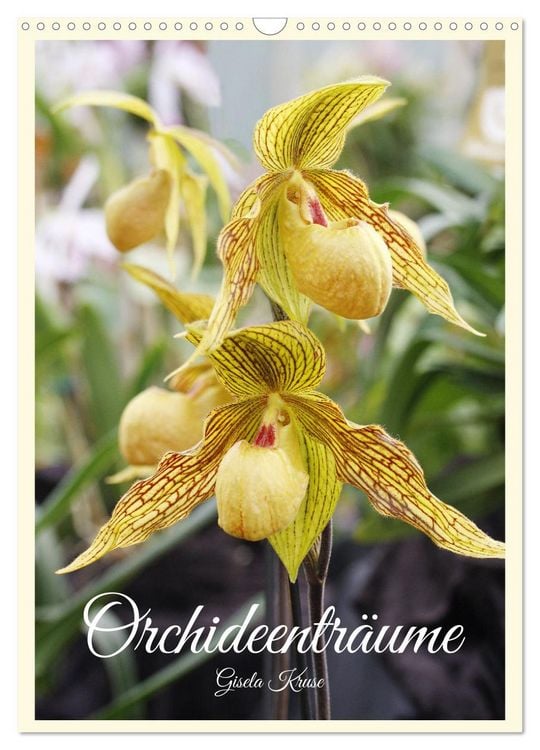 Produktbild: Orchideentr&auml;ume (Wandkalender 2026 DIN A3 hoch), CALVENDO Monatskalender