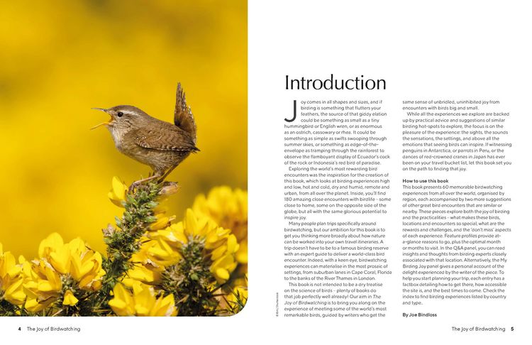 Produktbild: Lonely Planet The Joy of Birdwatching
