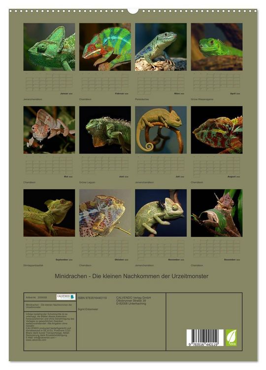 Produktbild: Minidrachen - Die kleinen Nachkommen der Urzeitmonster (hochwertiger Premium Wandkalender 2026 DIN A2 hoch), Kunstdruck in Hochglanz