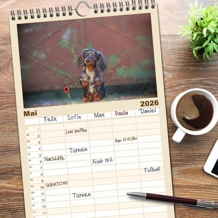 Produktbild: Familienplaner 2026 - Der Dackel mit 5 Spalten (Wandkalender, 21 x 45 cm) CALVENDO