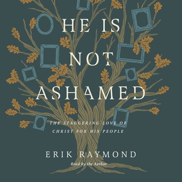 Produktbild: He Is Not Ashamed