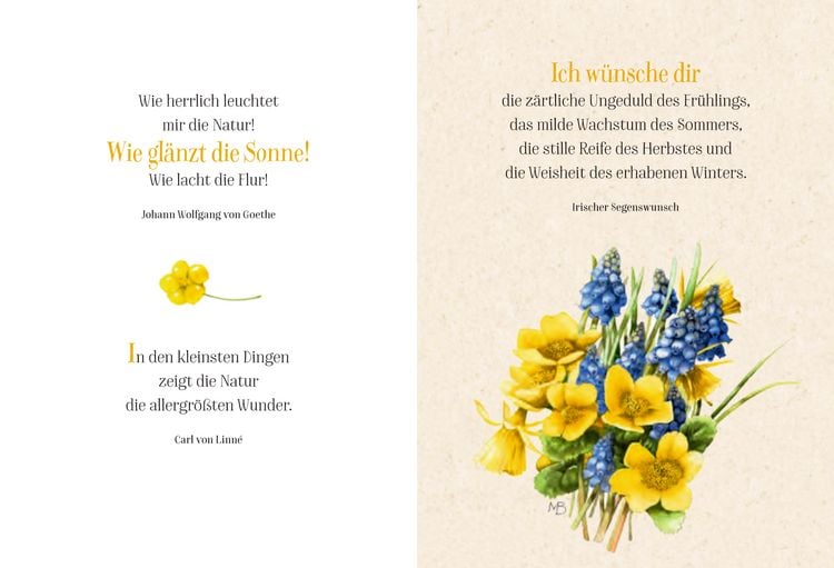 Produktbild: Die Sonne lacht f&uuml;r dich
