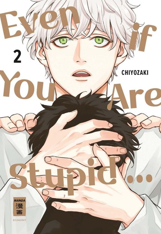 Produktbild: Even if You Are Stupid ... 02