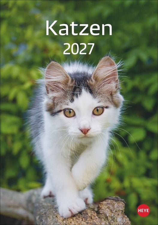 Produktbild: Katzen Kalender 2027