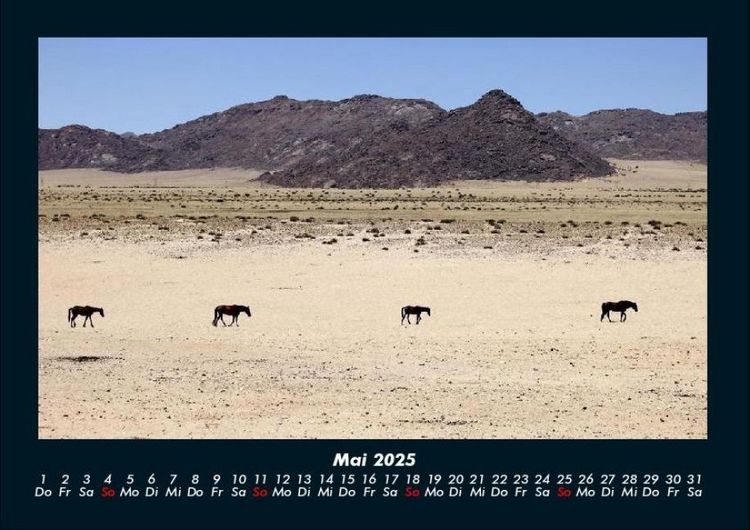 Produktbild: Pferdegefl&uuml;ster 2025 Fotokalender DIN A4