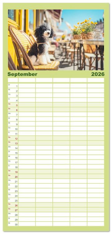 Produktbild: Familienplaner 2026 - Pudel in der Stadt. Urbane Momente voller Charme und Lebensfreude mit 5 Spalten (Wandkalender, 21 x 45 cm) CALVENDO