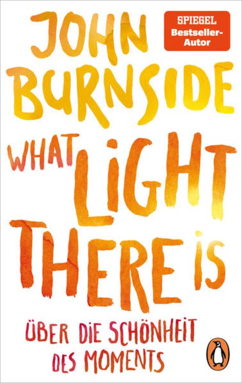 Produktbild: What light there is &ndash; &Uuml;ber die Sch&ouml;nheit des Moments