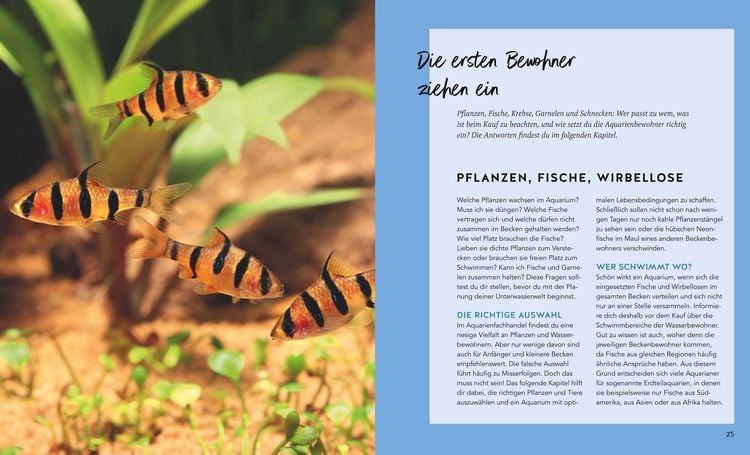 Produktbild: Aquarien - Spaß für Kinder