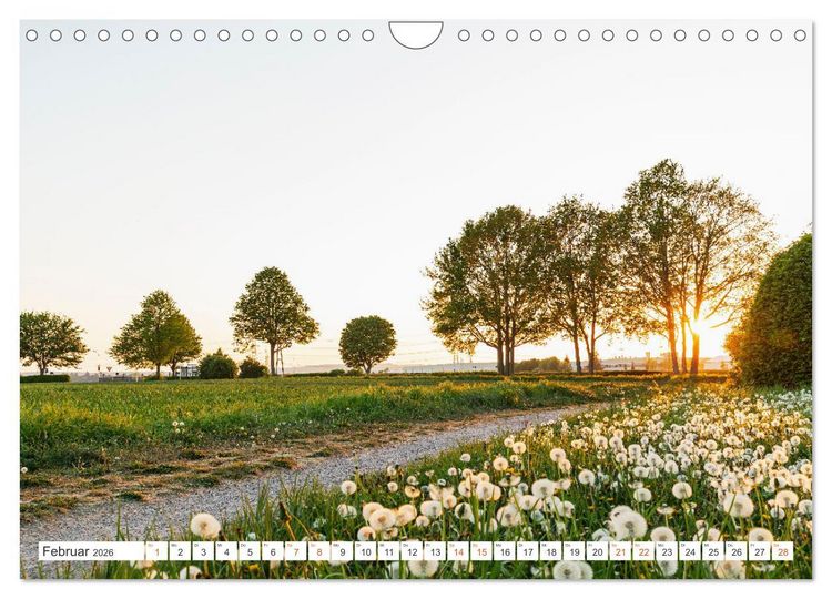 Produktbild: K&ouml;ln Widdersdorf - Bl&uuml;tentr&auml;ume und l&auml;ndliche Idylle (Wandkalender 2026 DIN A4 quer), CALVENDO Monatskalender