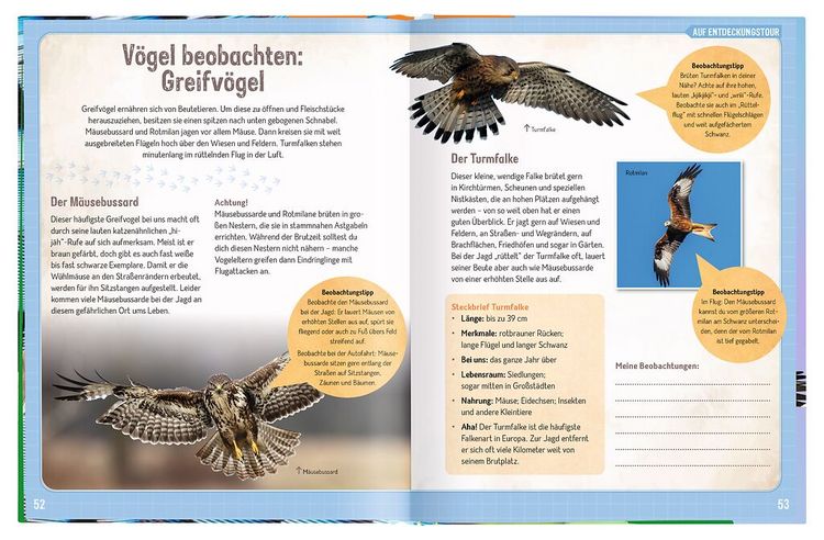 Produktbild: Erforsche die V&ouml;gel - Ihr Leben rund ums Jahr