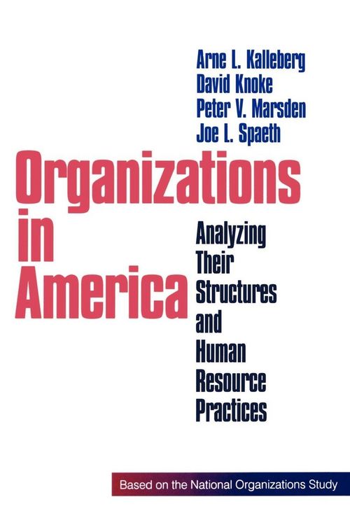Produktbild: Organizations in America