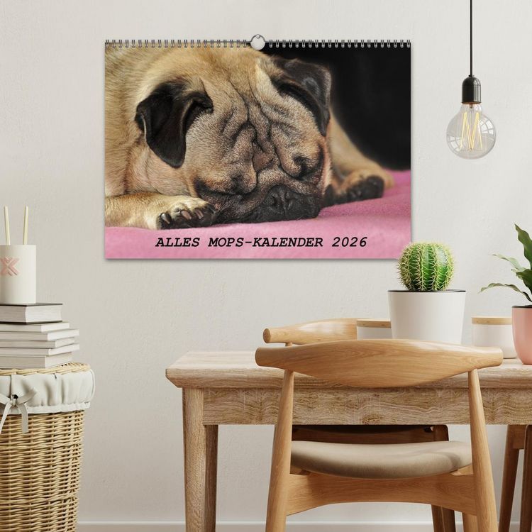 Produktbild: Alles Mops-Kalender 2026 (Wandkalender 2026 DIN A3 quer), CALVENDO Monatskalender