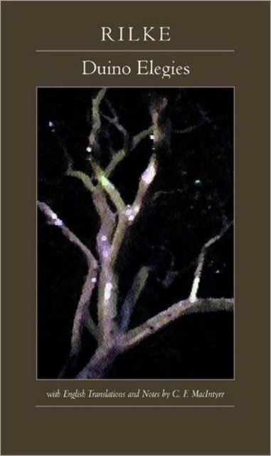 Produktbild: Duino Elegies