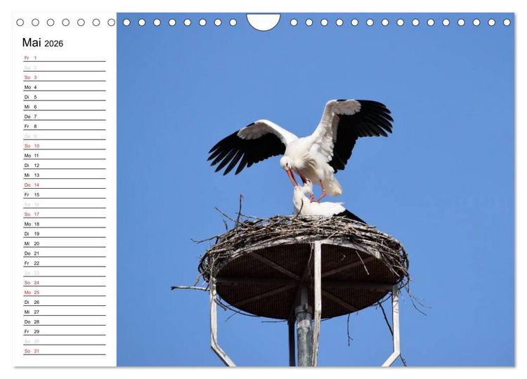 Produktbild: Crailsheim - Stimmungsvolle Momente (Wandkalender 2026 DIN A4 quer), CALVENDO Monatskalender