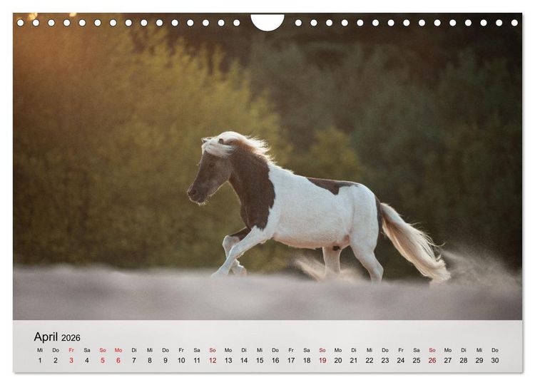 Produktbild: Pferde 2026 Kraft und Anmut (Wandkalender 2026 DIN A4 quer), CALVENDO Monatskalender