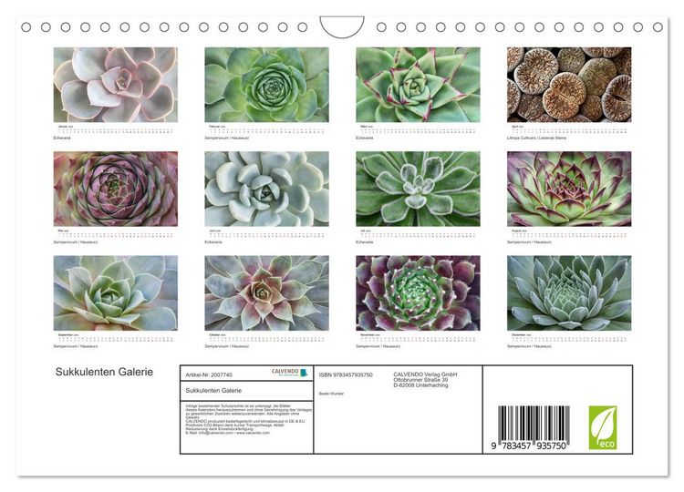 Produktbild: Sukkulenten Galerie (Wandkalender 2026 DIN A4 quer), CALVENDO Monatskalender
