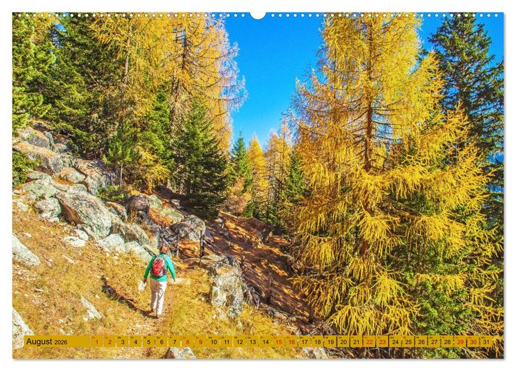 Produktbild: Das Element Holz - Ein Sinnbild (hochwertiger Premium Wandkalender 2026 DIN A2 quer), Kunstdruck in Hochglanz