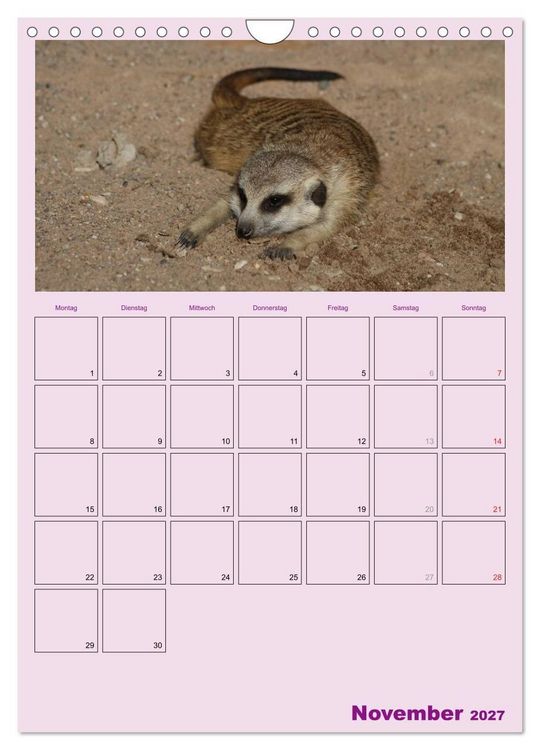 Produktbild: Erdm&auml;nnchen / Terminplaner (Wandkalender 2027 DIN A4 hoch), CALVENDO Monatskalender