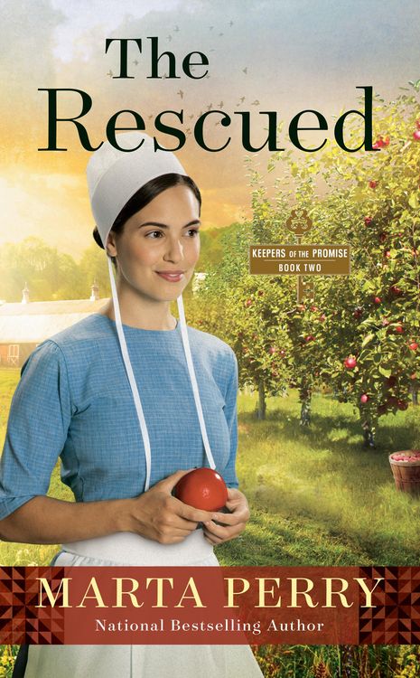 Produktbild: The Rescued