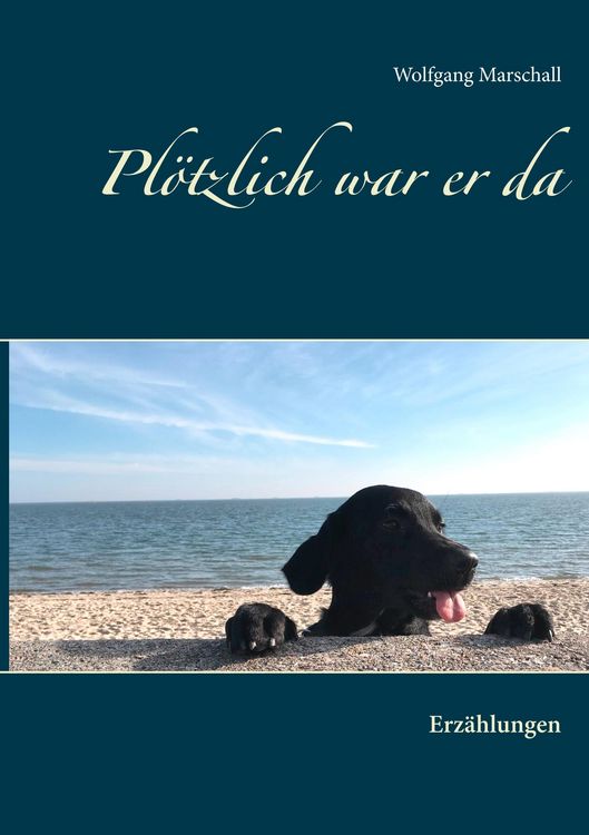 Produktbild: Pl&ouml;tzlich war er da