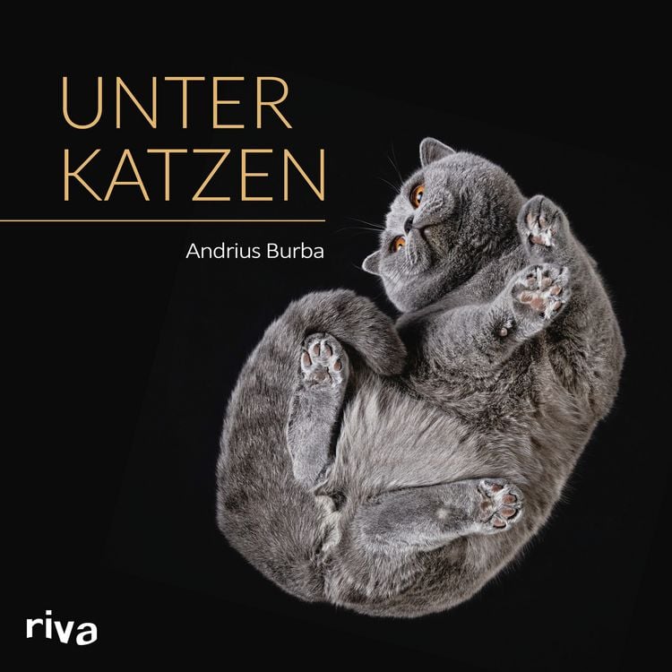 Produktbild: Unter Katzen