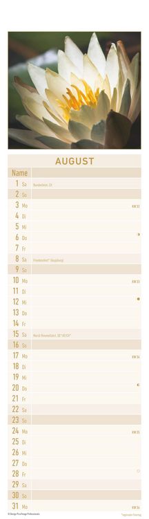 Produktbild: Streifenplaner Mini Zen 2026 - Streifen-Kalender 9,5x33 cm - Harmonie und Achtsamkeit - Wandplaner - Küchenkalender - Alpha Edition