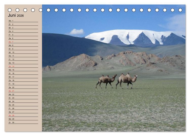 Produktbild: Kamele in der W&uuml;stensonne (Tischkalender 2026 DIN A5 quer), CALVENDO Monatskalender