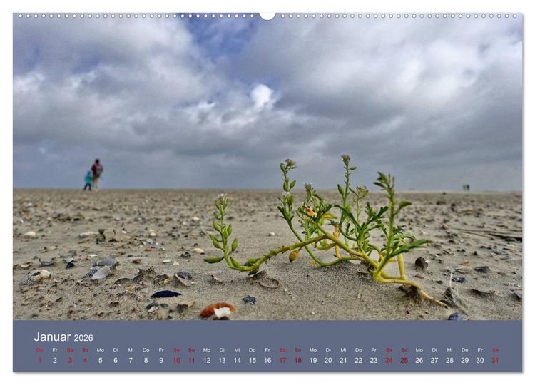 Produktbild: Norderney - Meine Trauminsel (hochwertiger Premium Wandkalender 2026 DIN A2 quer), Kunstdruck in Hochglanz