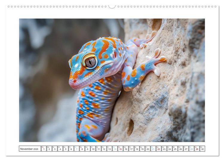 Produktbild: Kleine Echsen haben Spass (Wandkalender 2026 DIN A2 quer), CALVENDO Monatskalender